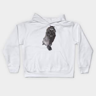 Gray Long Haired Cat Kids Hoodie